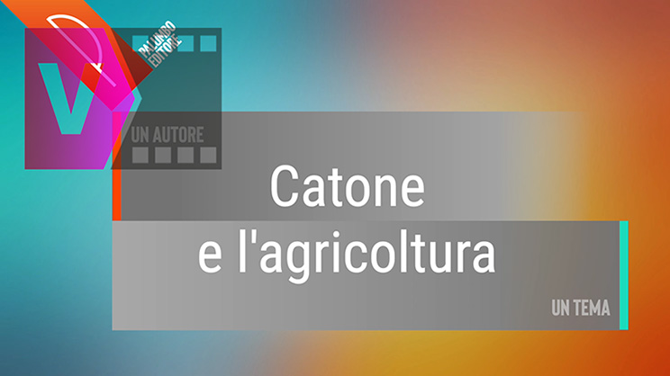 copertina contenuto