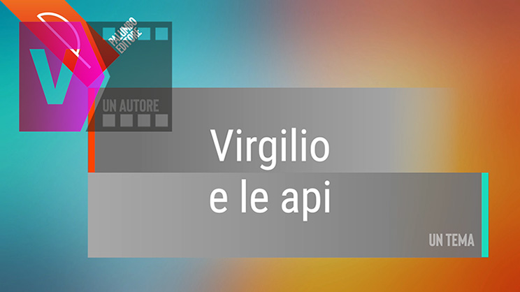 copertina contenuto
