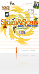 Skim & Scan...and have fun!